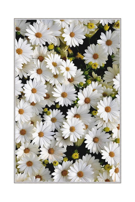 Conceptum Alfombra de Pasillo HMNT521 Multicolor 100 x 150 cm Conceptum Alfombra de Pasillo HMNT521 Multicolor 100 x 150 cm